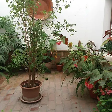 El Perro De Paterna 2* Paterna de Rivera